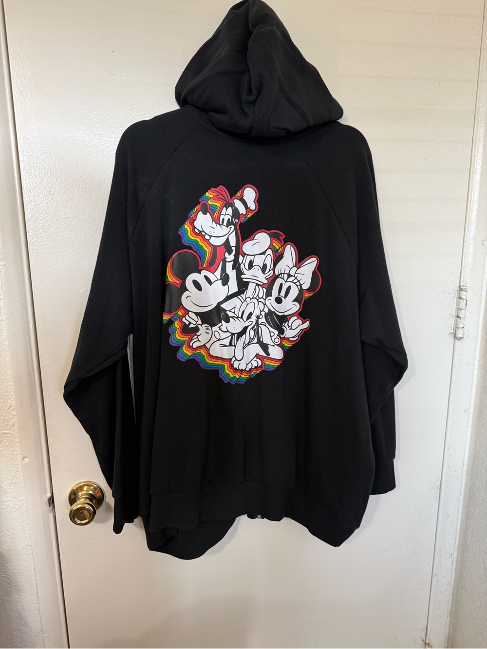 Torrid - Disney Pride Hoodie